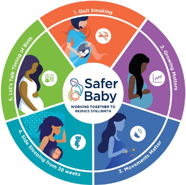 A diagram showing the five elements of the Safer Baby Bundle